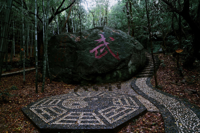 奥运講台：你拼搏的身影，不只是一道风景，更是春雨，润物无声