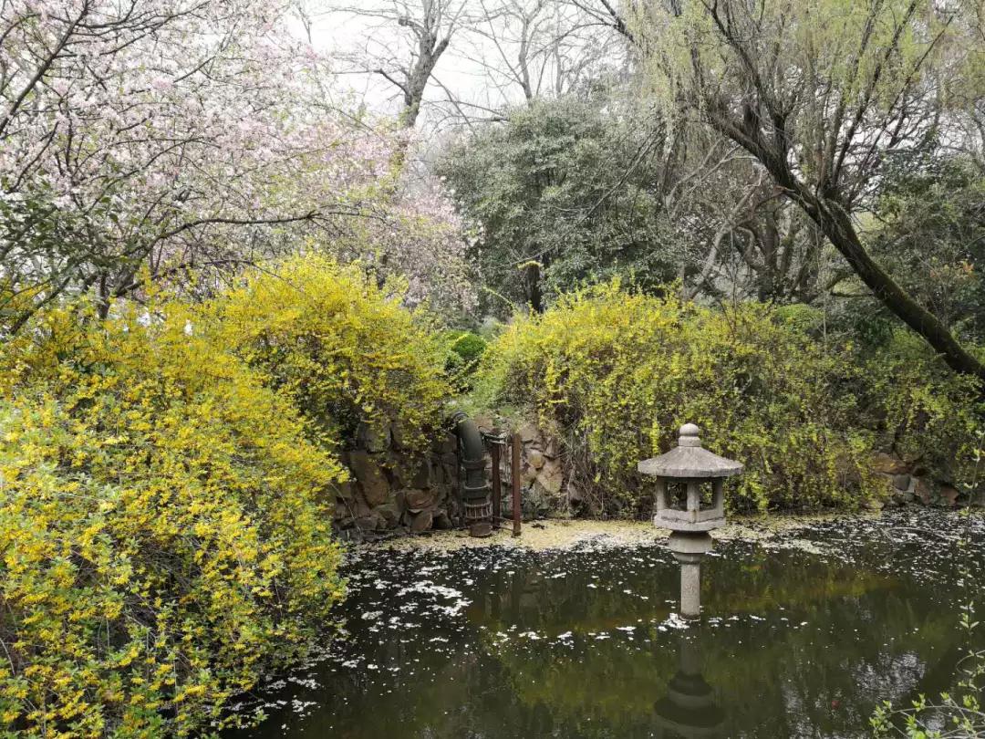 考研院校说 | 同济大学：同舟共济，同济古训！