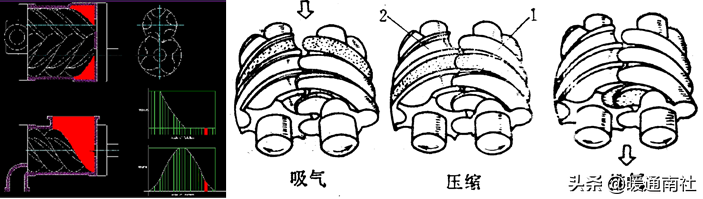 螺杆式制冷压缩机结构与拆装