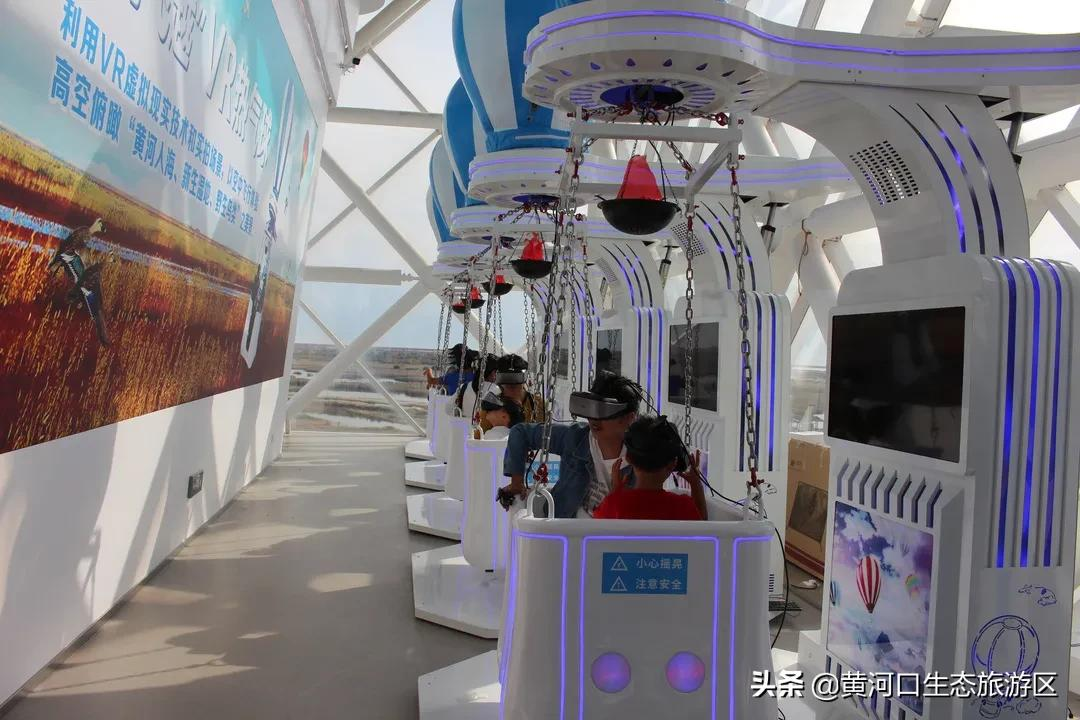【黄河口生态旅游区】冬日暖阳 静享时光