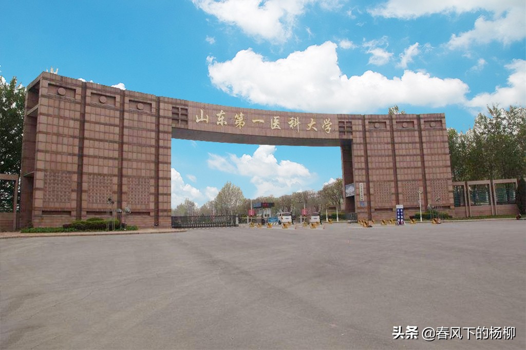 就这一指标而言，山东第一医科大学不仅山东第一，甚至全国第一