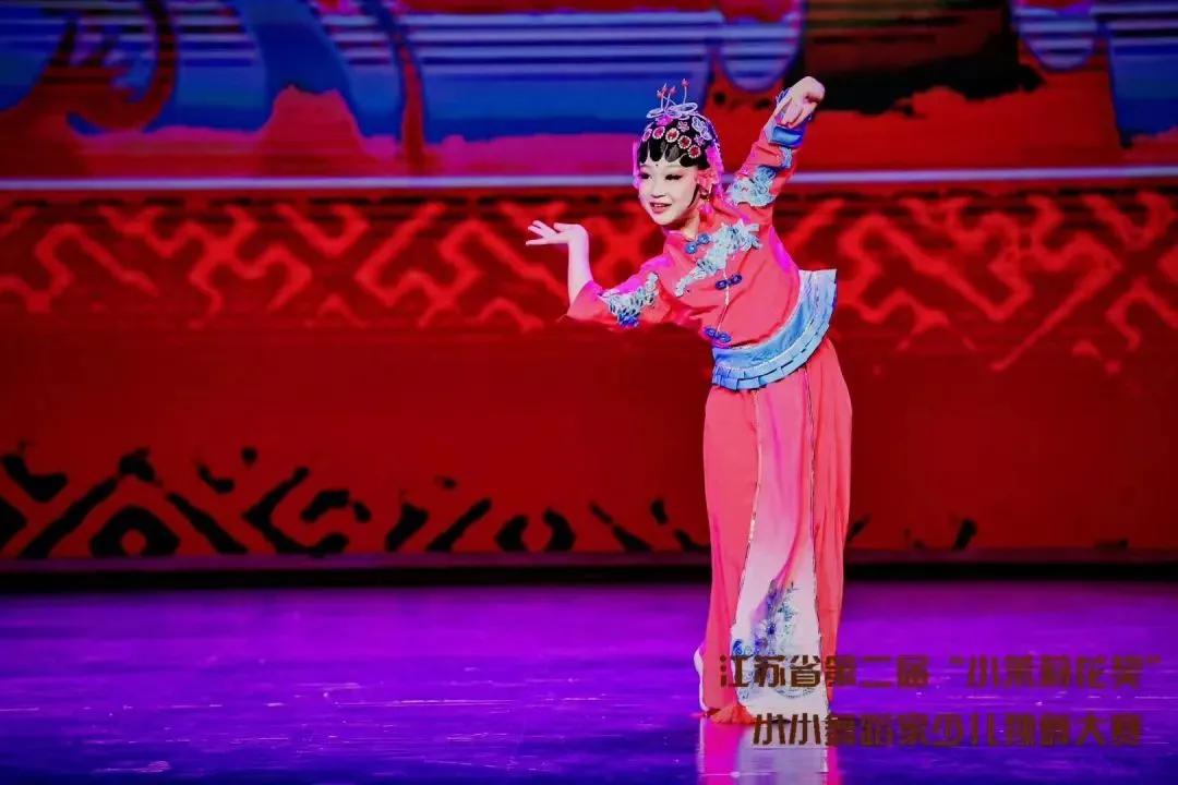 清新的莲花悄然绽放—记“新时代盐城好少年”射阳县中学生张媛媛