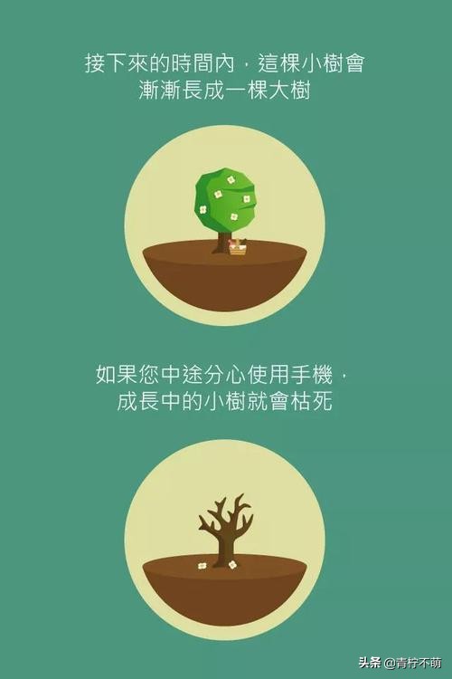 分享7个超级适合大学生使用的APP，真的非常好用，建议收藏