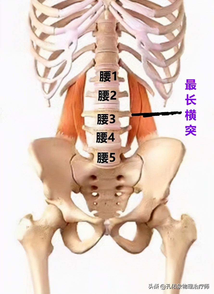 腰臀部疼或下肢麻木，是腰椎间盘突出吗？9种疾病需鉴别