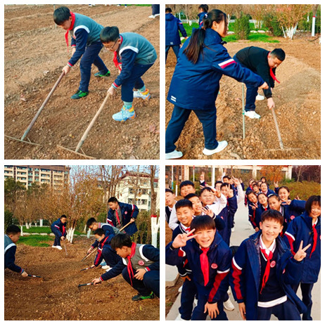 耕读有道 后稷有人——曲阜夫子学校小学部开展农耕劳动实践活动