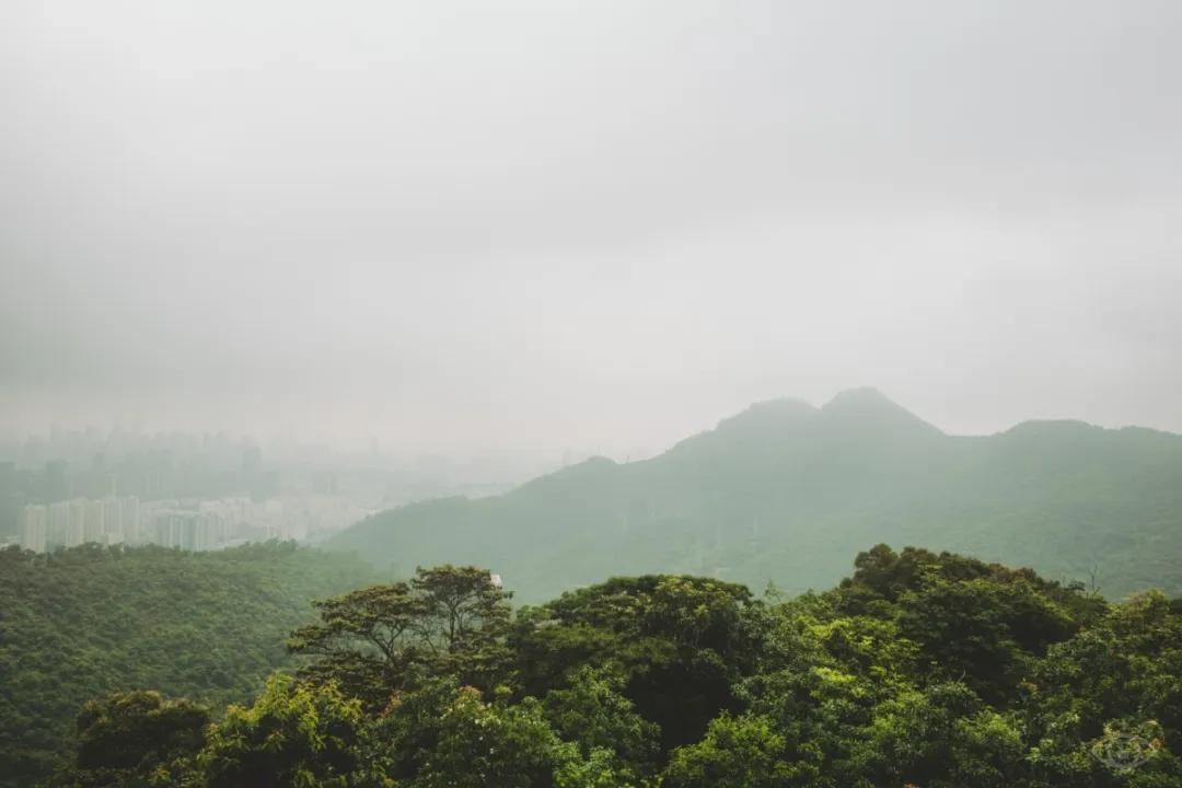 深圳值得征服的10座山，你去过几座？