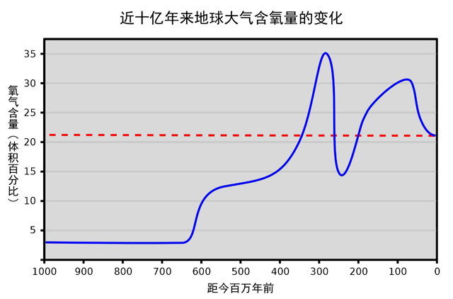 石炭纪为什么能成为“巨虫时代”，这些巨虫又因何而走向没落？