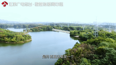 美了1500年，这里的古银杏即将迎来颜值巅峰