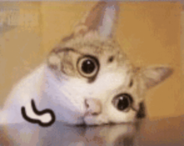 2020版最新法官、检察官表情大全！哈哈哈