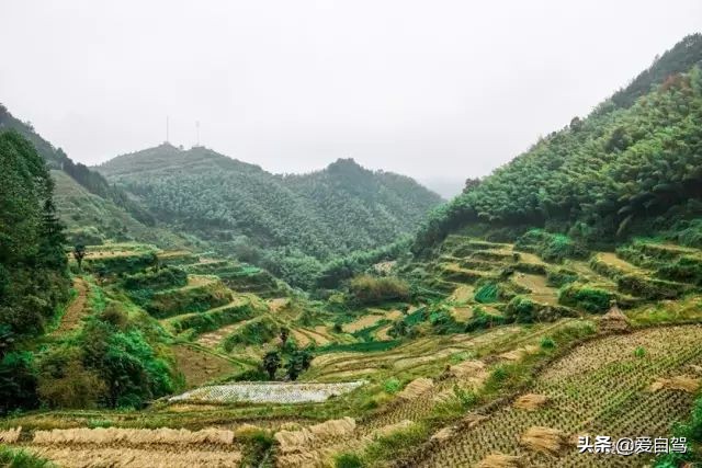 丽水的这座宝藏小县城，隐秘于浙西南的世外桃源