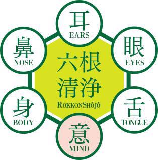 六根是指哪六根佛教里的六根六尘和六识详解