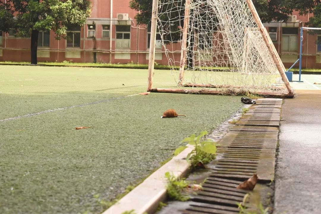 高职高考必看｜全面了解广州大学 （纺织服装学院）