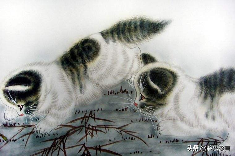 咏猫诗词精选三十三首 吸猫雅事，古已有之