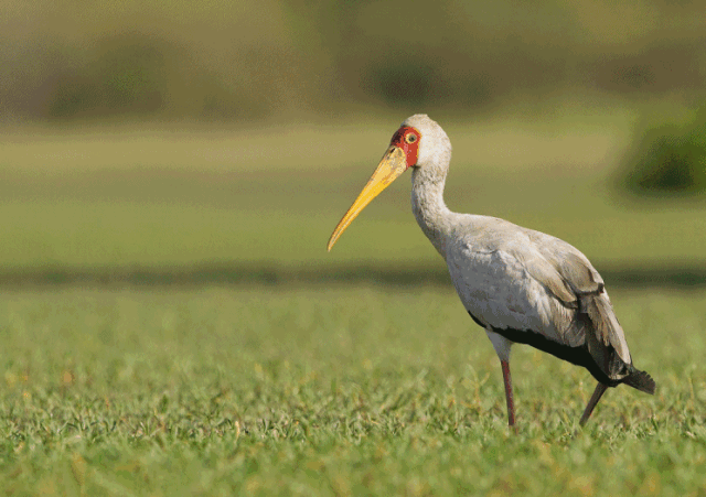 2%,波兰族占6.6%,俄罗斯族占5.8%.