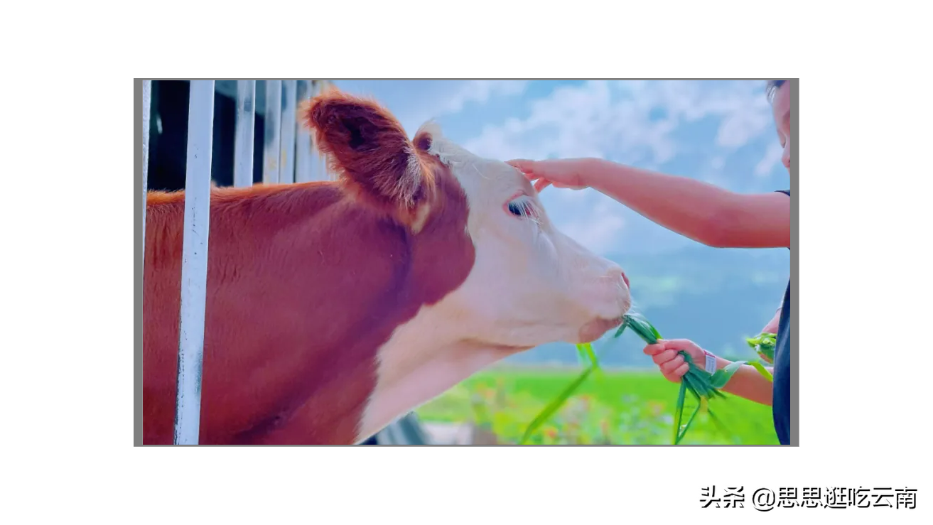 云南个旧，张子枫电影里的宝藏小城，藏着小镇青年的回忆和美食