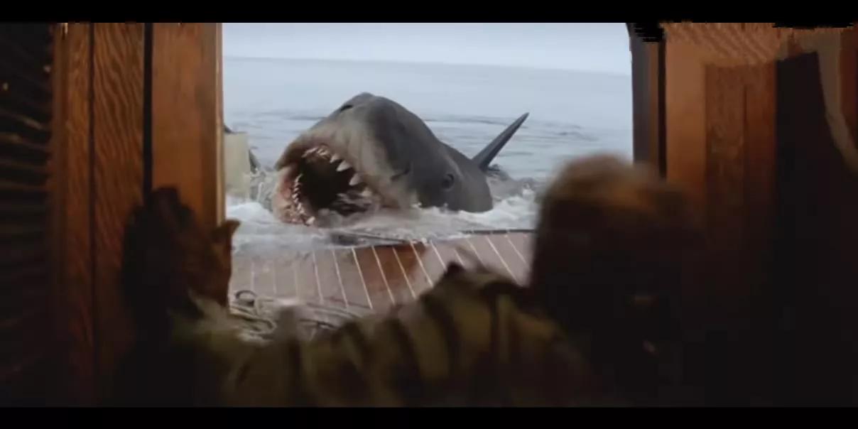 巨鲨“凶猛”，揭开 “遮羞布”，五部鲨鱼电影赵奕欢这部垫底