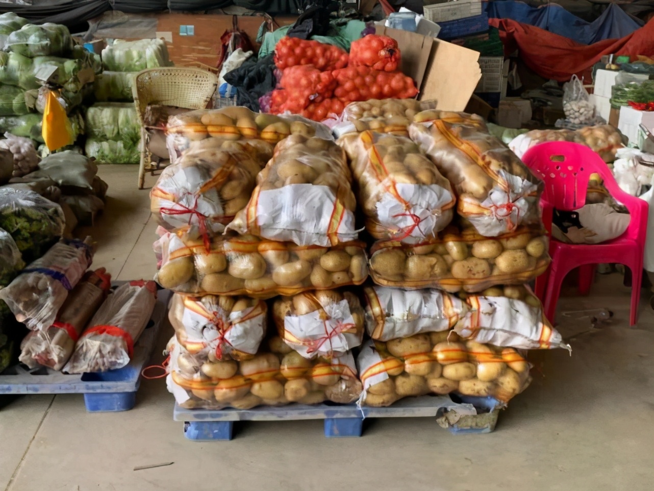 做蔬菜批发30多年,从2000元入行到如今有6个档口,他称"秘诀"是这二字