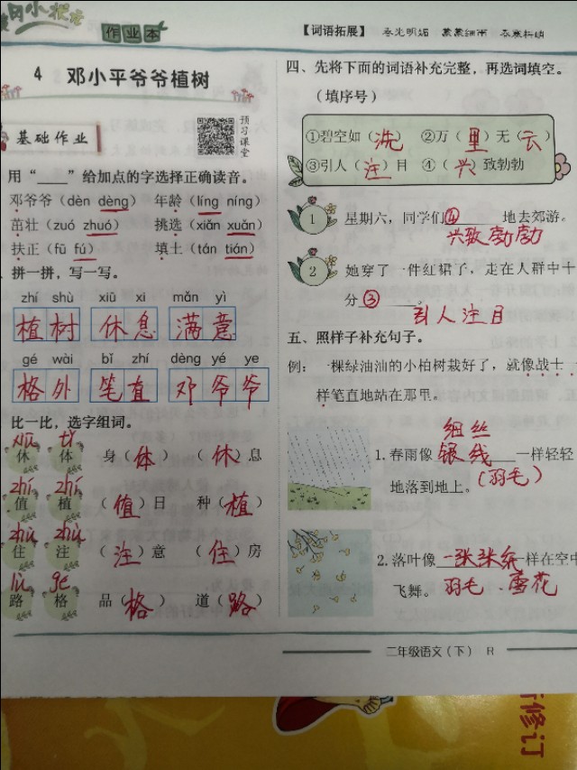二年级语文下册第四课《邓小平爷爷植树》课文分析