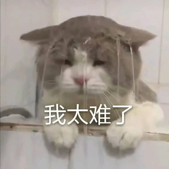 极客电视无信号解决方法与调试技巧