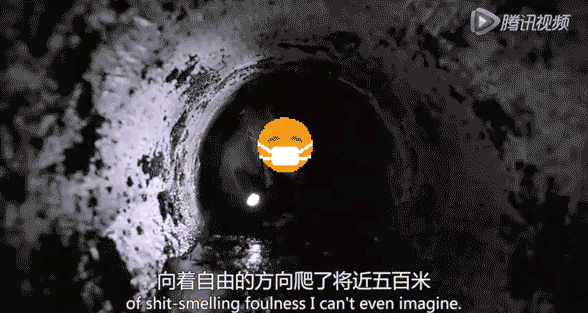 “偷个高考试卷有什么难的？”我在牢里写道