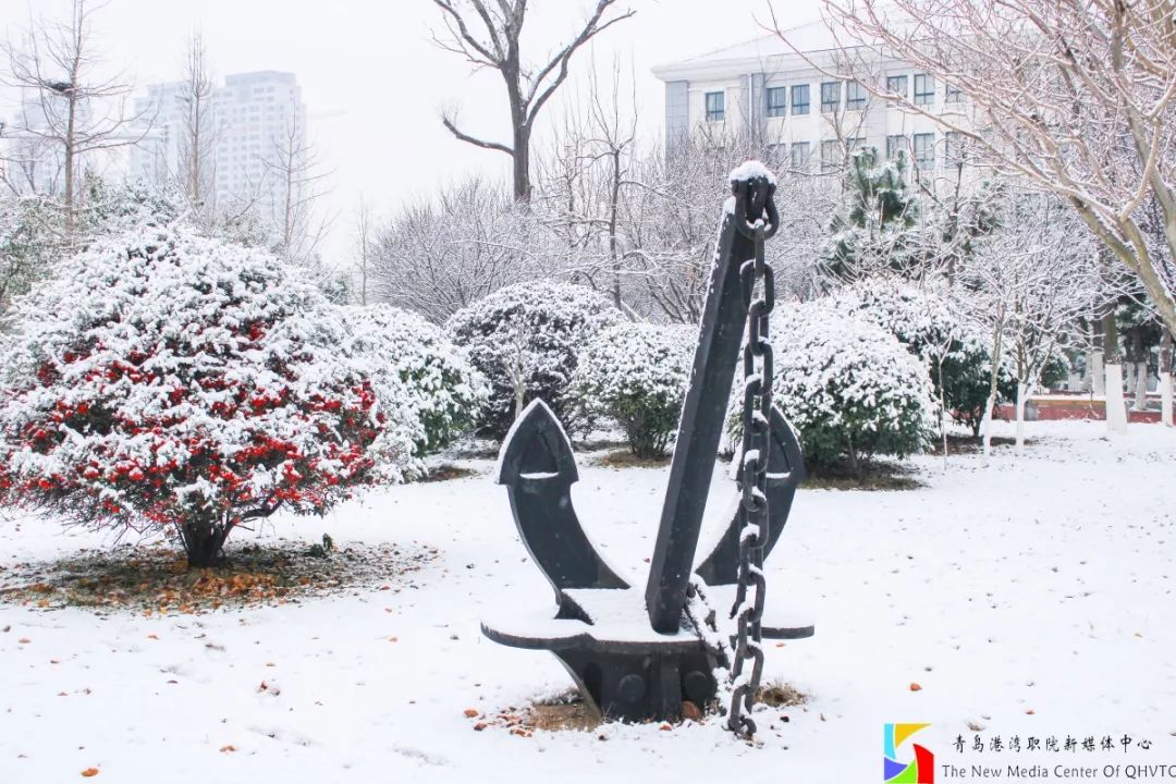 选择爱上青岛港湾职院，这八大理由足矣