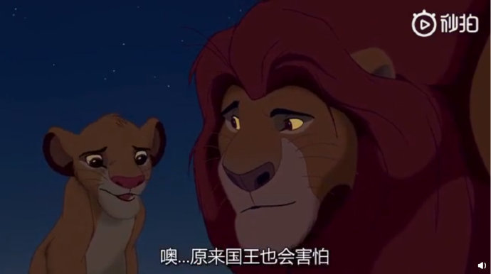 动漫电影:《狮子王》里小时候最感动的一段对话。
