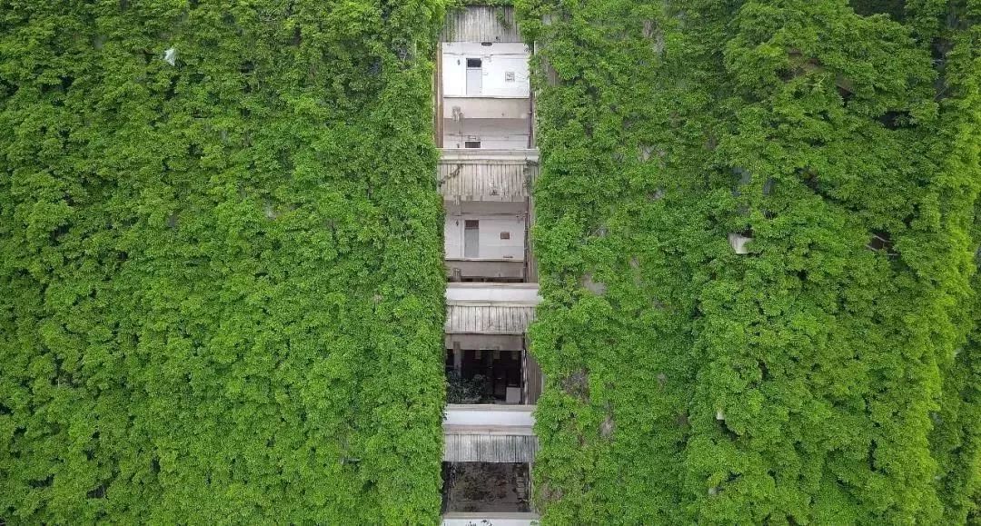 我国10大最美大学图书馆，各有特色令人神往，多图预警请欣赏