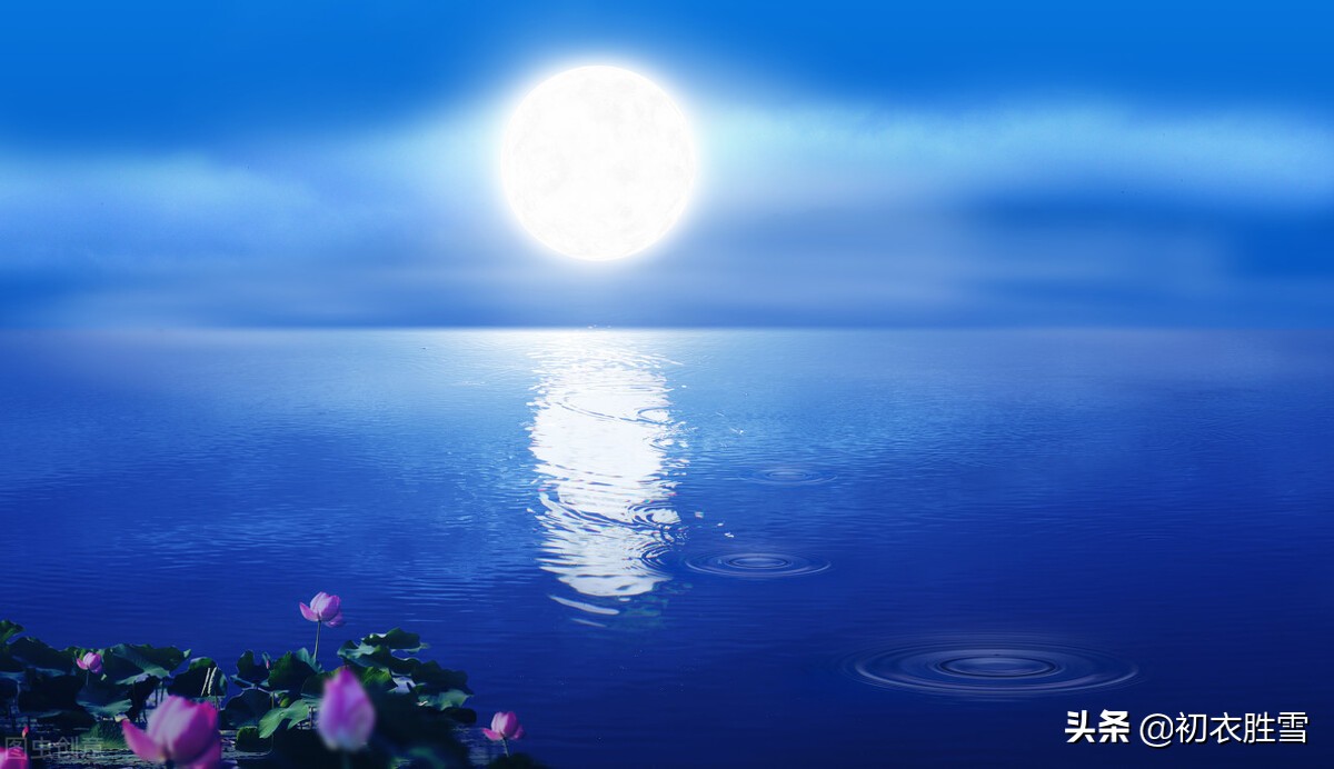 仲夏清风明月美诗七首:夏夜追凉月满庭,只把禅心伴月明