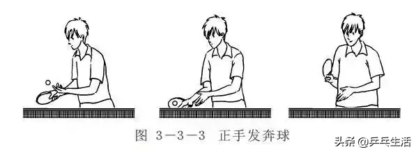 11种基本发球技术，你都掌握了吗？