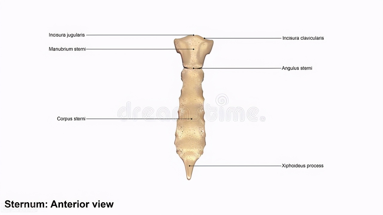 患者就诊大声呼救：我心窝疼！医生：原因复杂，不一定是心脏病变