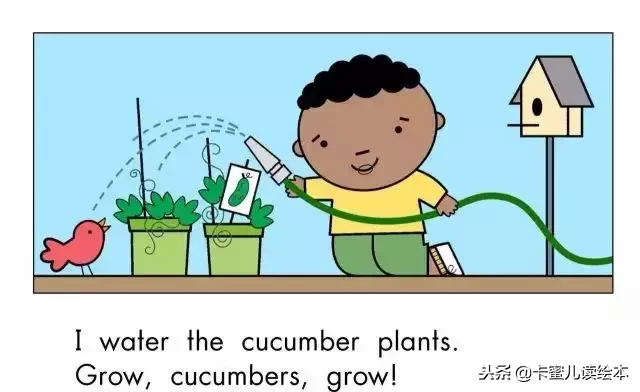 「英文有声绘本」蔬菜，快快长大《Grow,Vegetables,Grow!》