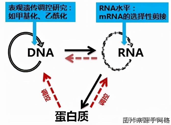 妊娠失败的男性因素有哪些？