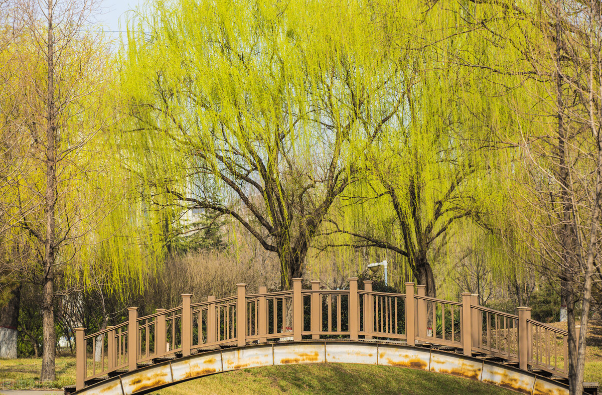 诗歌鉴赏 | 赠赵伯鱼（韩 驹）