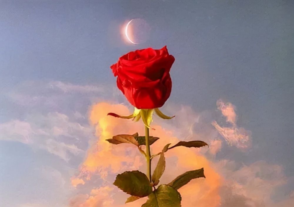 温柔到爆的神仙句子配图片