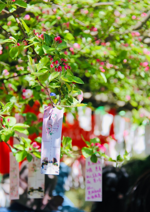 天津大学，125年，谢谢你