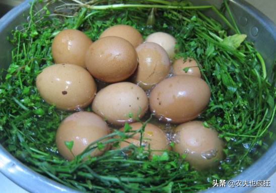  三月三吃鸡蛋的传说[三月三为什么要吃煮鸡蛋]-第5张图片-CNDAO