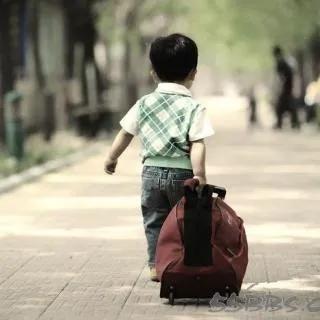 《目送》中关于生死离别的深情独白，龙应台笔下的亲情与告别