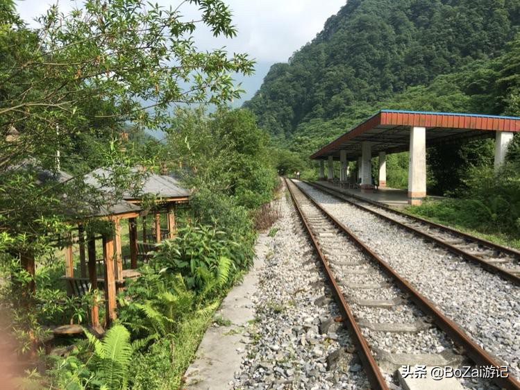 到四川阿坝旅游不能错过的19个景点，你去过几个？最爱哪个景点
