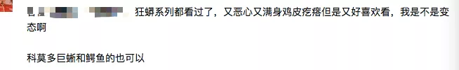 好莱坞鲨鱼系列遭吐槽,网友:鲨鱼到底有几个头!?