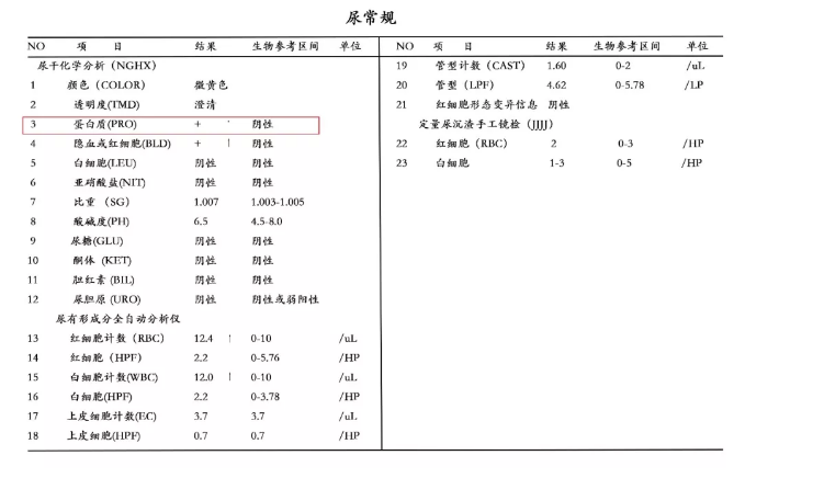 尿常规中的“+”号，都是什么意思？教你读懂尿常规里的各种项目