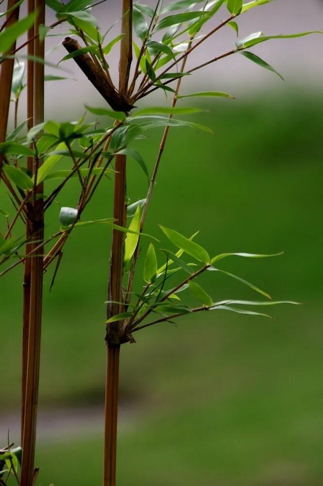 又是烦躁的下雨天