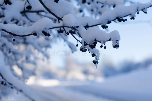 来来往往的人世