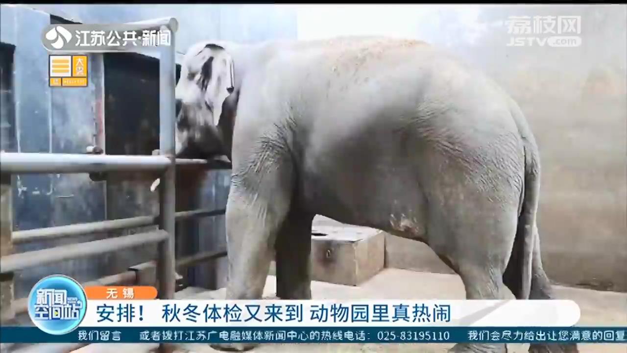 秋冬体检又来到 无锡动物园里真热闹