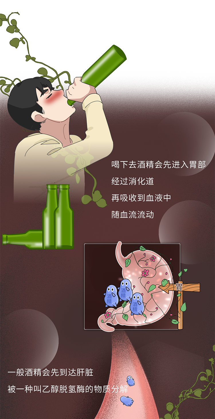 吃什么能快速解酒？蜂蜜、浓茶都没用！真正有效的方法是这2个