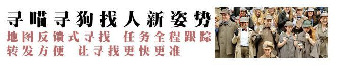 宠物走丢寻找有它们就好了，世界优秀猎犬十大排名！