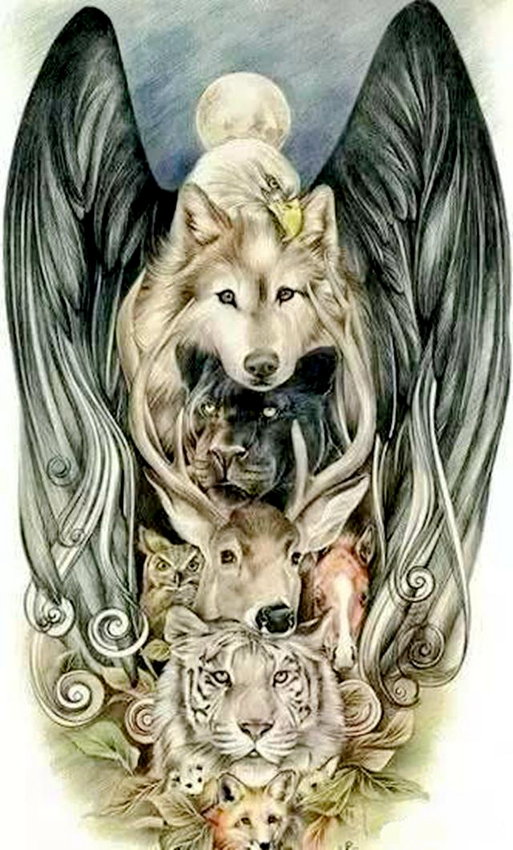 7张图都藏着兔子,找到5张是好眼力