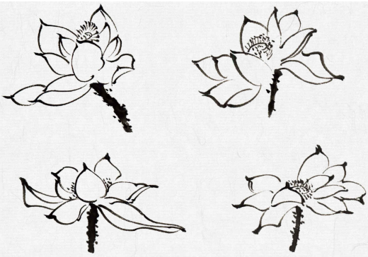 画荷技法荷花各种花头的形态