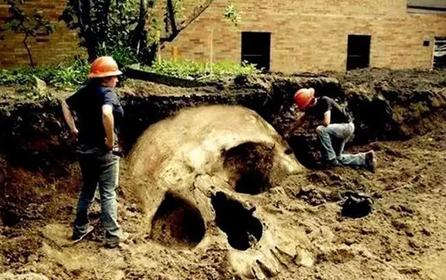 科学家不敢公开的发现（世界上曾有5米高的巨人）