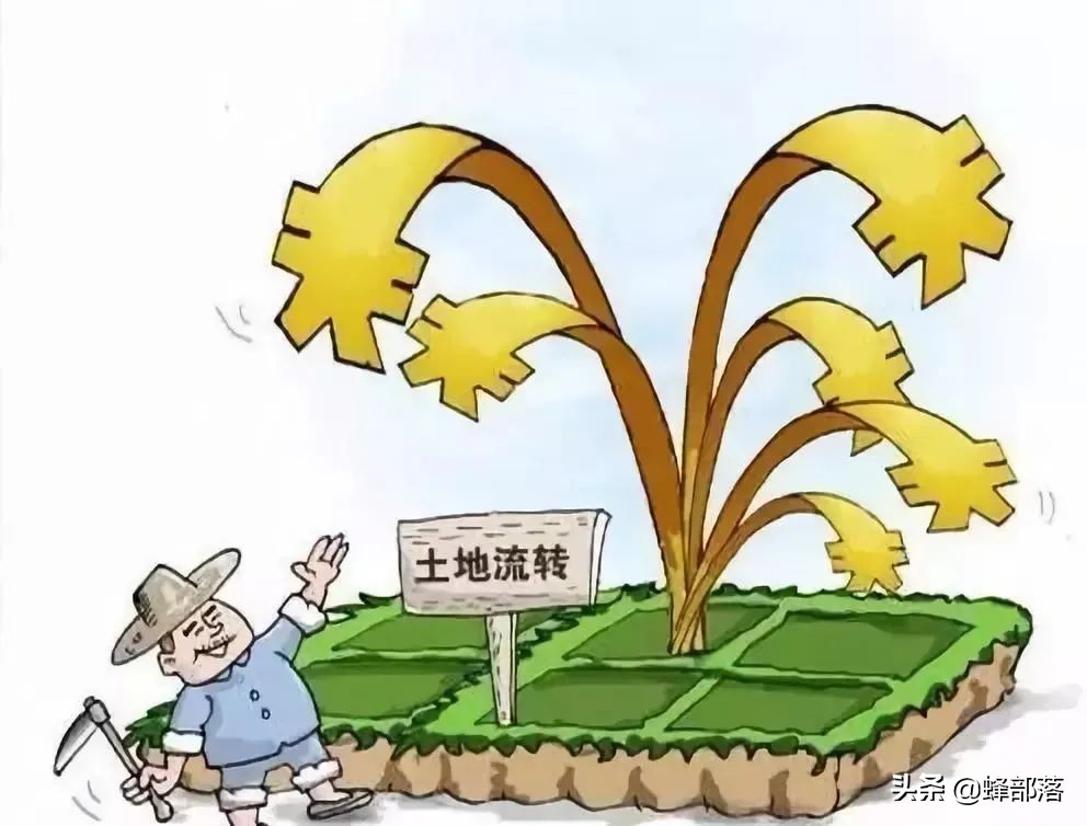 “十三五”農(nóng)機(jī)補(bǔ)貼958億，貼息貸款最高300萬(wàn)，哪些人得到實(shí)惠？
