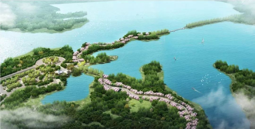 2019 武汉军运会，最全攻略